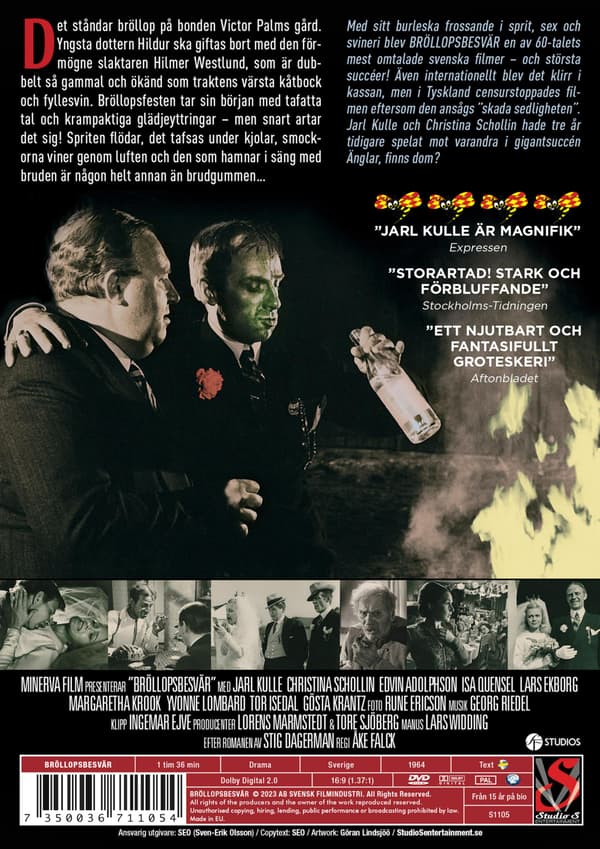 Bröllopsbesvär (1964) (DVD)