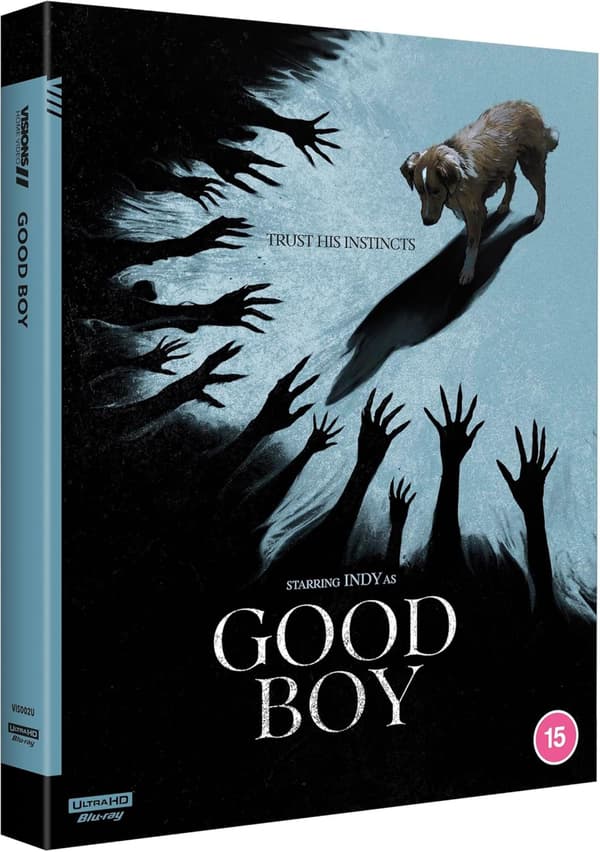 Good Boy (2025) (4K UHD)