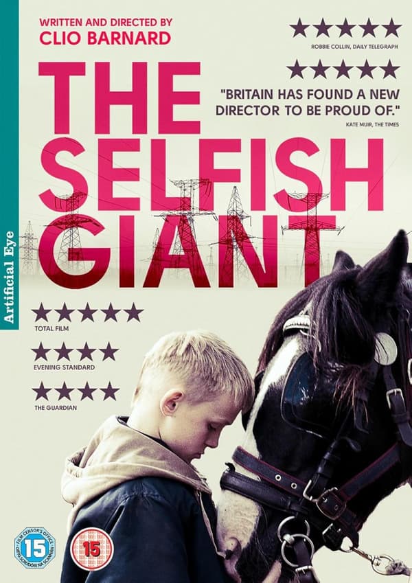 The Selfish Giant (2013) (DVD)