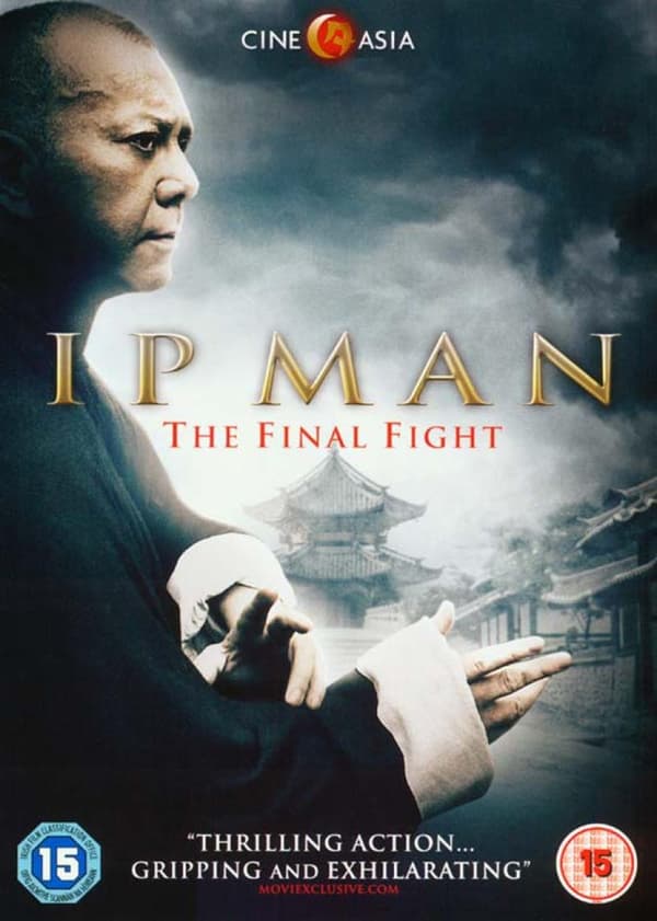 Ip Man: The Final Fight (2013) (DVD)