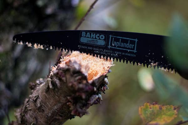 BACHO LAPLANDER LAP 396-BLADE, reservblad Bacho Laplander