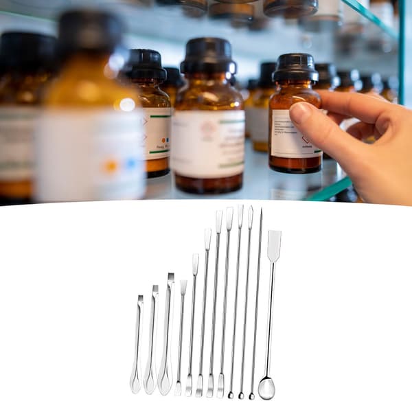 12 stk. laboratoriespatel 304 rustfrit stål multifunktionel prøveske eksperimentudstyr