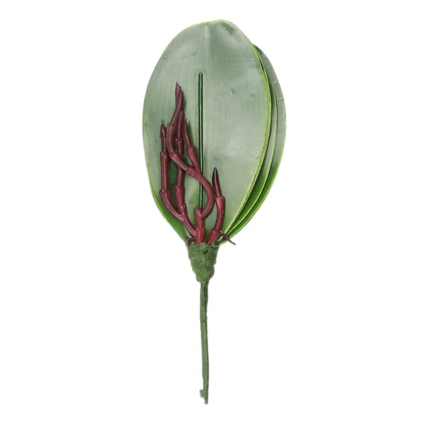 Phalaenopsis Löv Orkidélöv Bröllop Heminredning Simulering Växter