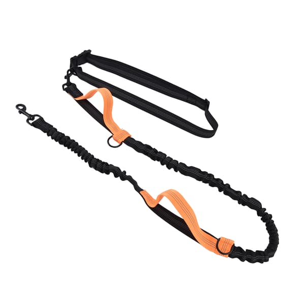 Hundkoppel Hi-Vis Utdragbart Lätt Justerbart Träningsrep för Hundar Orange