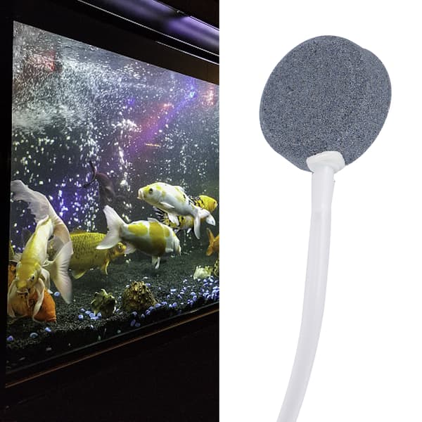 Akvarielufter Sæt Plast Siliciumcarbid Luftdiffusor 2m Slange 4 Stk Sugekopper Pumpedele