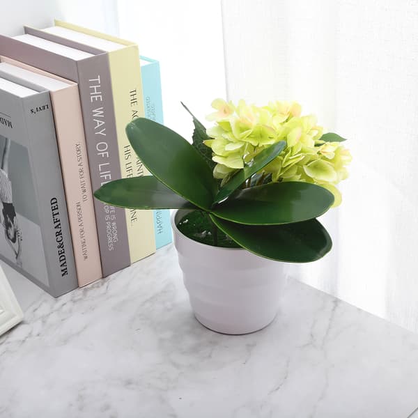 Phalaenopsis Löv Orkidélöv Bröllop Heminredning Simulering Växter