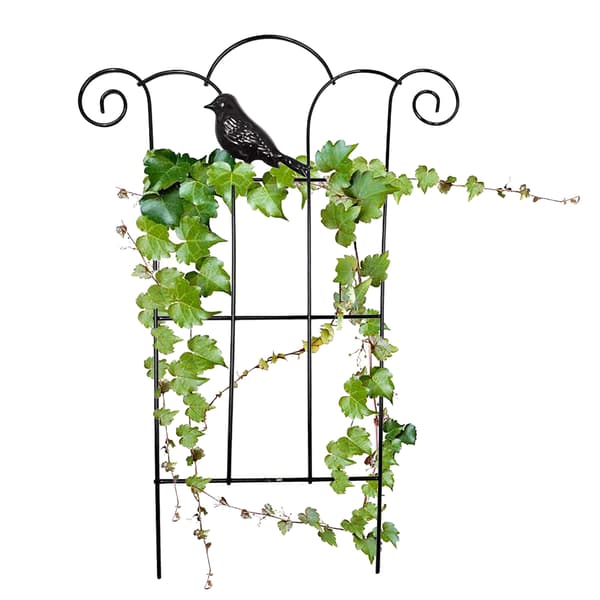 Espalier i rustfrit stål til klatreplanter, espalier til vinstokke