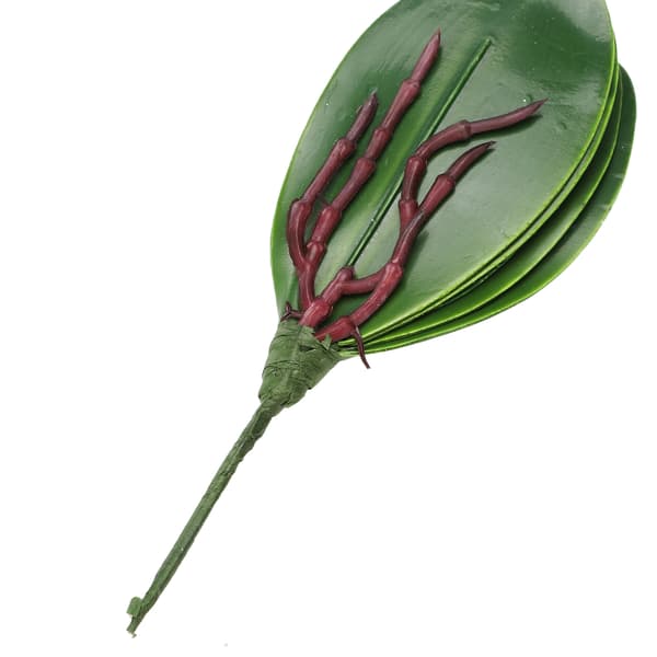 Phalaenopsis Löv Orkidélöv Bröllop Heminredning Simulering Växter