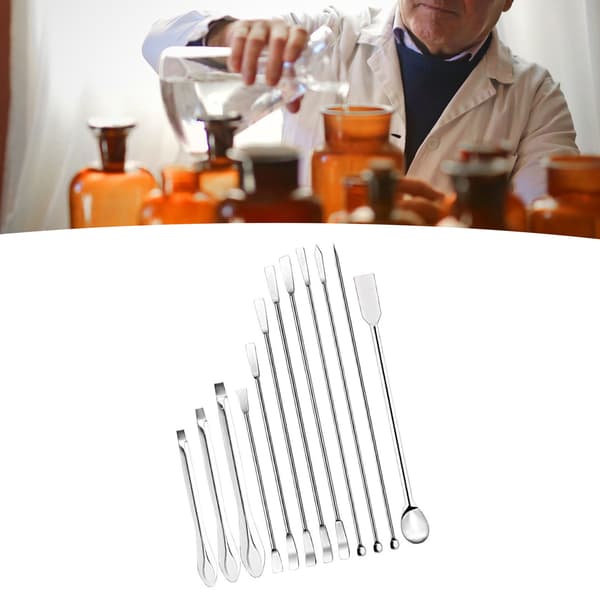 12 stk. laboratoriespatel 304 rustfrit stål multifunktionel prøveske eksperimentudstyr