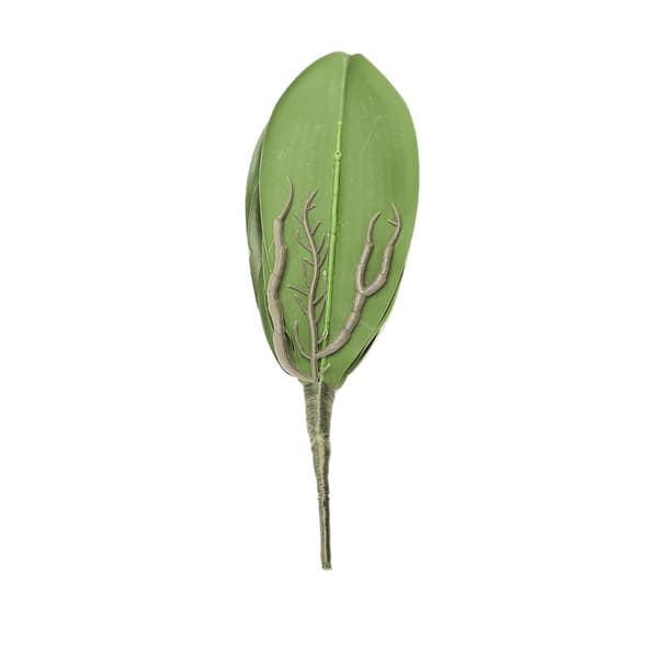 Phalaenopsis Löv Orkidélöv Bröllop Heminredning Simulering Växter