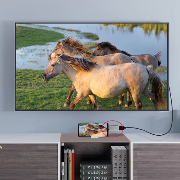 USB-C til DisplayPort 4K x 2K Adapter Konverter til Smartphone Tablet