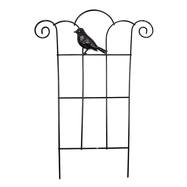 Espalier i rustfrit stål til klatreplanter, espalier til vinstokke