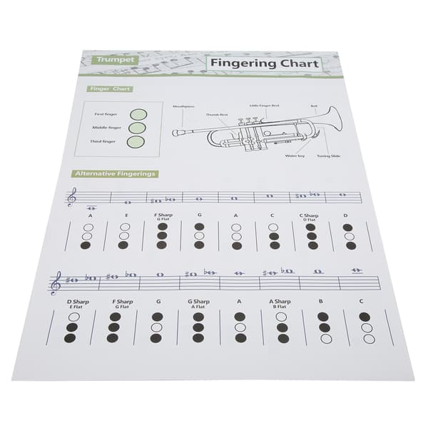 Trompet Akkorddiagram Gribebræt Node Musikinstrument Referenceguide til Hjemmeklasse Stor