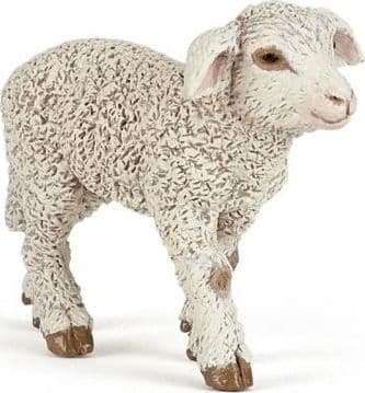 Merinolammas