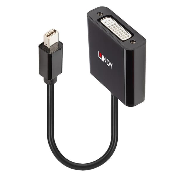 Lindy - videosovittimen kaapeli - Mini DisplayPort–DVI-D - 16 cm