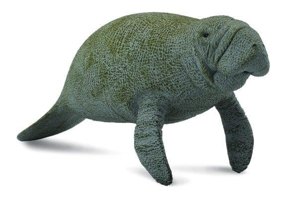 Sjöslo