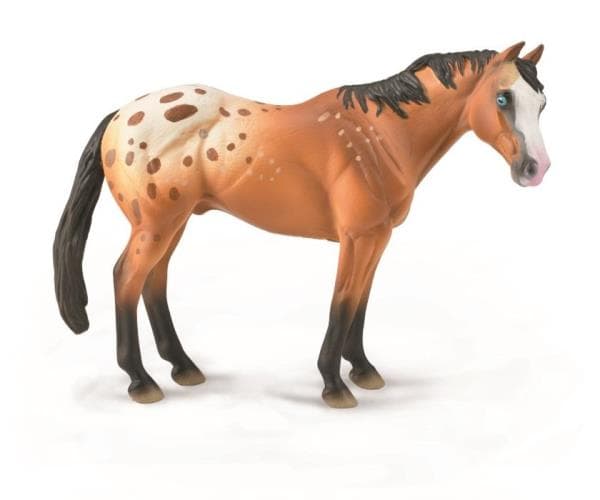 Con Appaloose hingst ljusbrun 88933 COLLECTA
