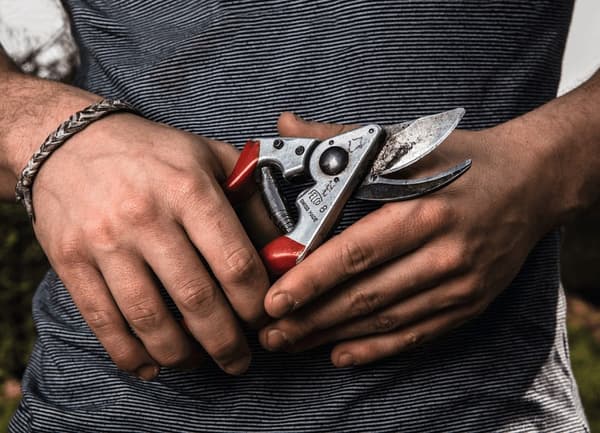Felco 8 Classic -oksasakset