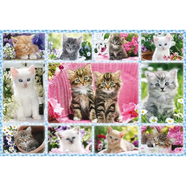 Pussel 100 bitar. Kattungar