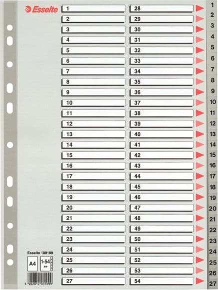 Esselte Kansioiden pidikkeet A4 PP harmaa 1-54 (10K154F)