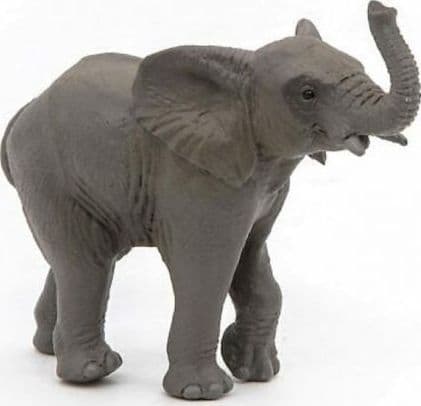 Afrikansk ung elefant