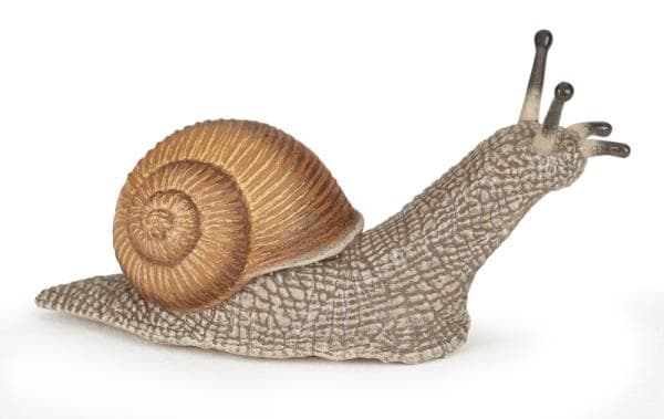 Slimak