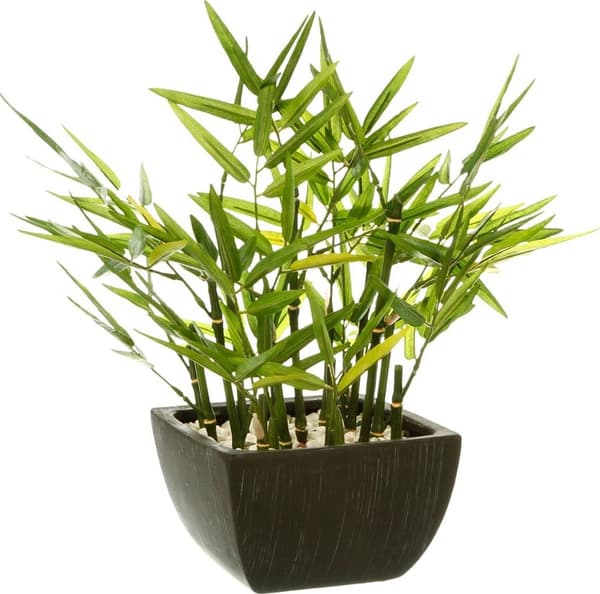 Atmosphera Tekobambu ruukussa 35 cm