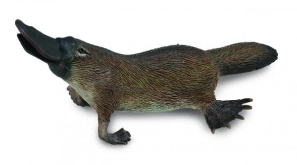 Collecta-hahmo australianvesinokkaeläin (M)