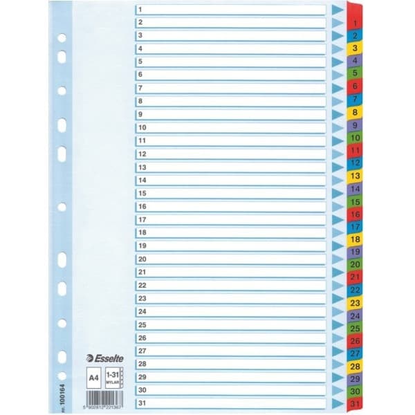 Esselte Kansiotelineet Esselte A4 Mylar pahvi (10K055E)