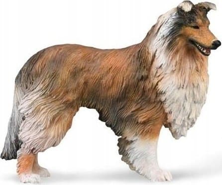 Skotsk fårhund lång 88997 COLLECTA