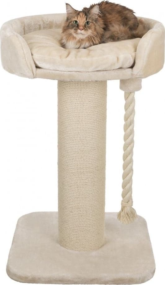 Trixie raapimispuu Klara XXL, 100 cm, kerma