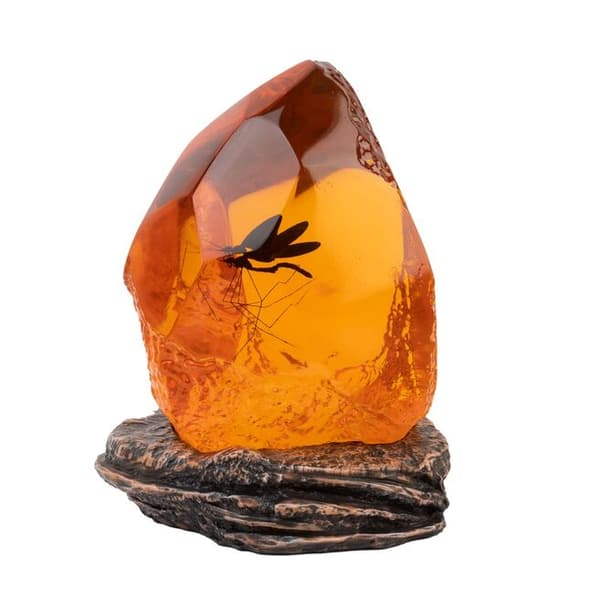 Jurassic Park Ravlampe