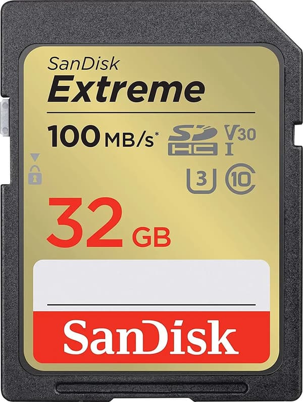 SDHC-minneskort Western Digital SDSDXVT-032G-GNCIN 2 g