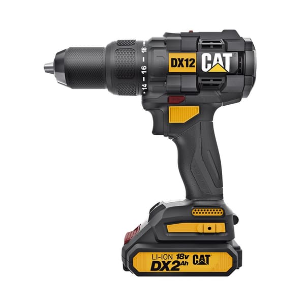 CAT DX12