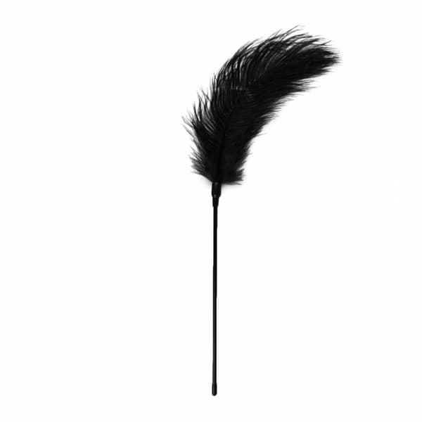 Feather Snap Feather Snap Reverse Game