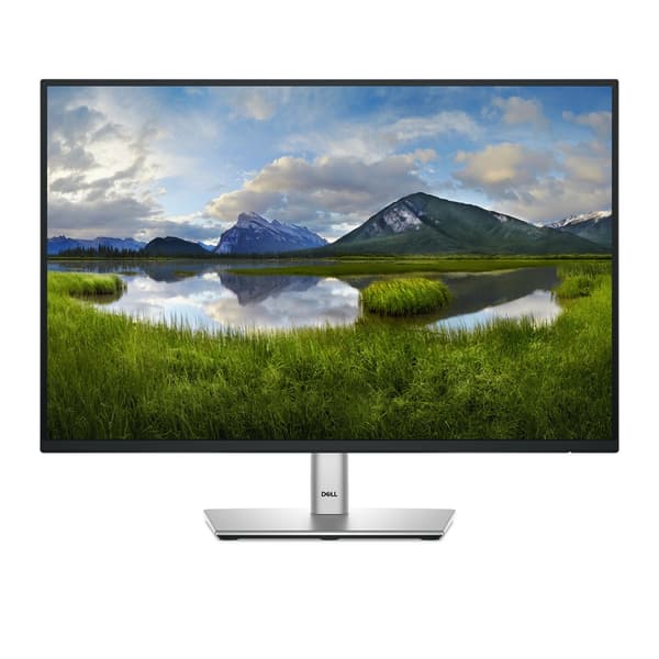 Dell LED-skærm P2425 - 61 cm (24\") - 1920 x 1200 WUXGA
