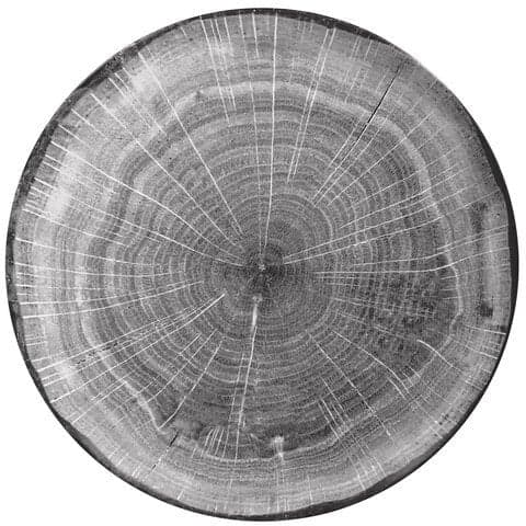 Woodart flat tallrik grå 24 cm