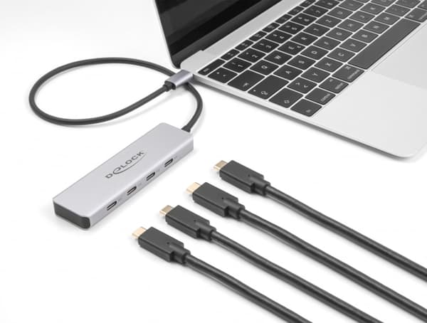 Delock - hub - 10 Gbps, with 35 cm con