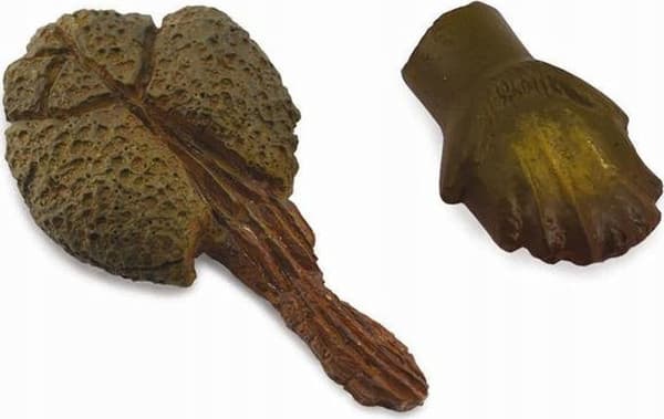 Zab och svans av Anykylosaurus