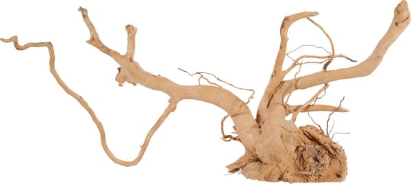 Zolux Japanese root Spider Wood 50-60 cm