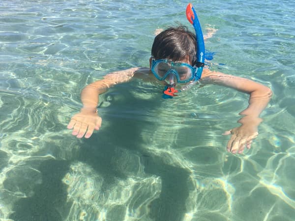 Schildkrot SFS Junior Snorkelsæt BARBADOS 2-delt