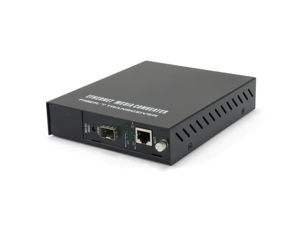 LevelOne FVM-1000 netværksomformer til medie 100 Mbit/s Sort