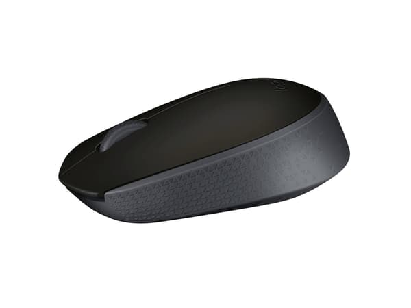 Logitech mus M171 - svart