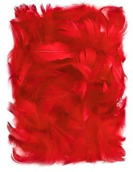 Röda fjädrar 5-12cm 10g