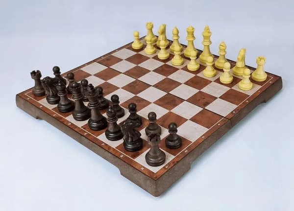 Magnetisk skak og dam 2i1