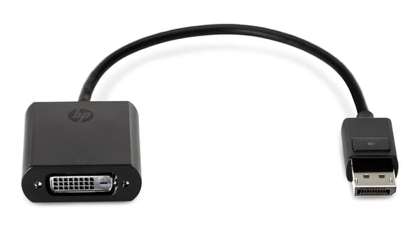 HP DisplayPort til DVI-D-adapter - DisplayPort-adapter - 19 cm