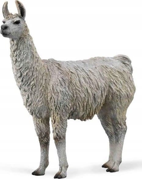 Lama 88991 COLLECTA