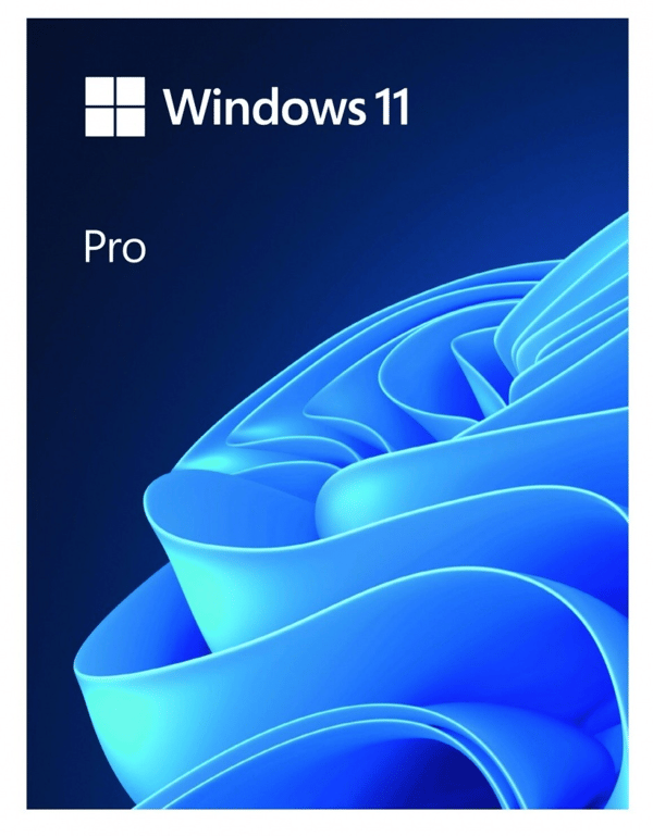 MS Windows 11 Pro FPP 64-bit Eng Intl USB-muistitikku