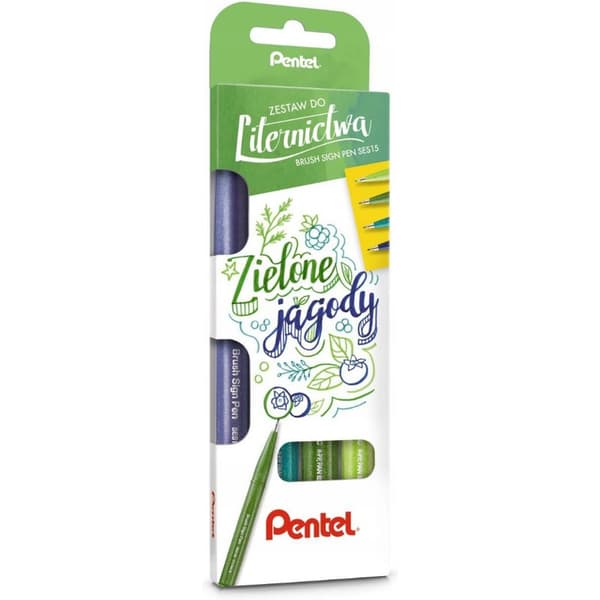 Set med kalligrafipennor 4 färger PENTEL