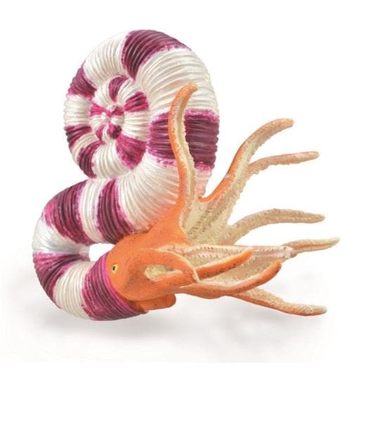 Collecta COLLECTA PRAVITOCERAS-figur